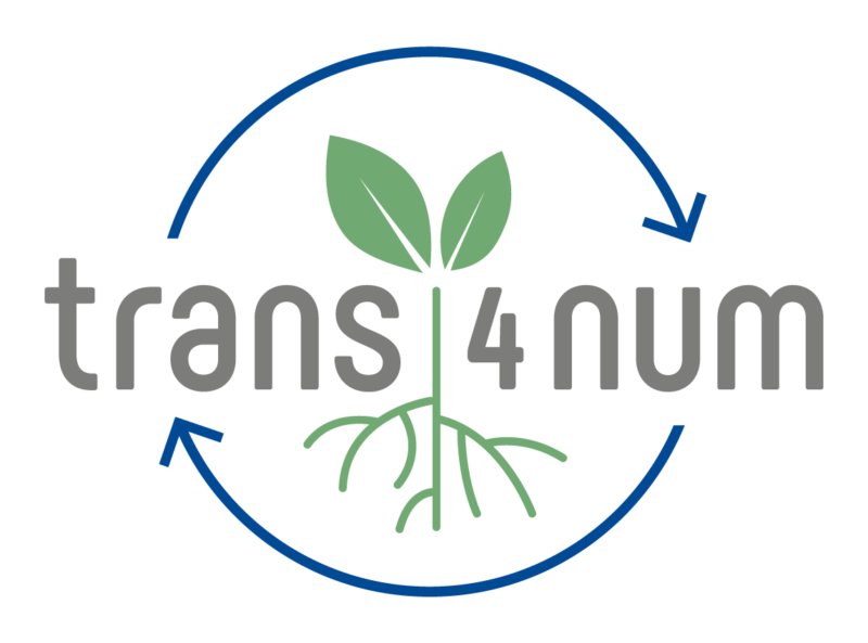 Puissance 4 géant