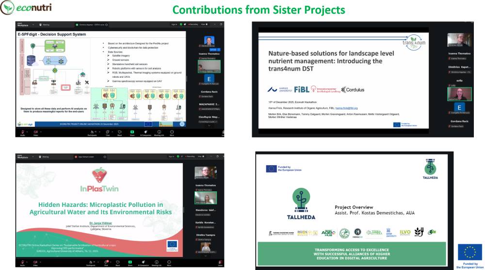 First-ECONUTRI-Hackathon-by-AUA-Greece-4