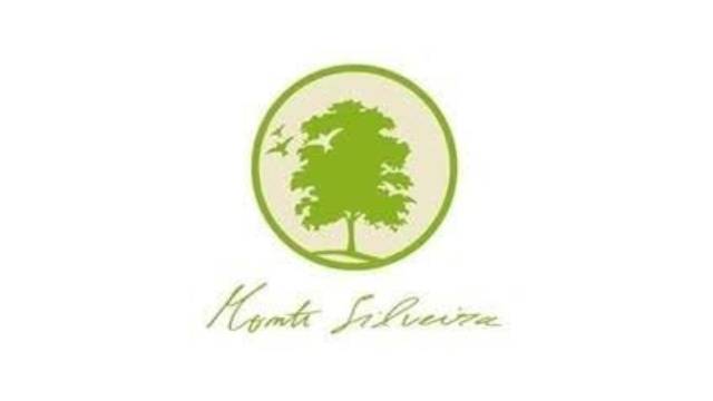 Monte-Silveira-logo