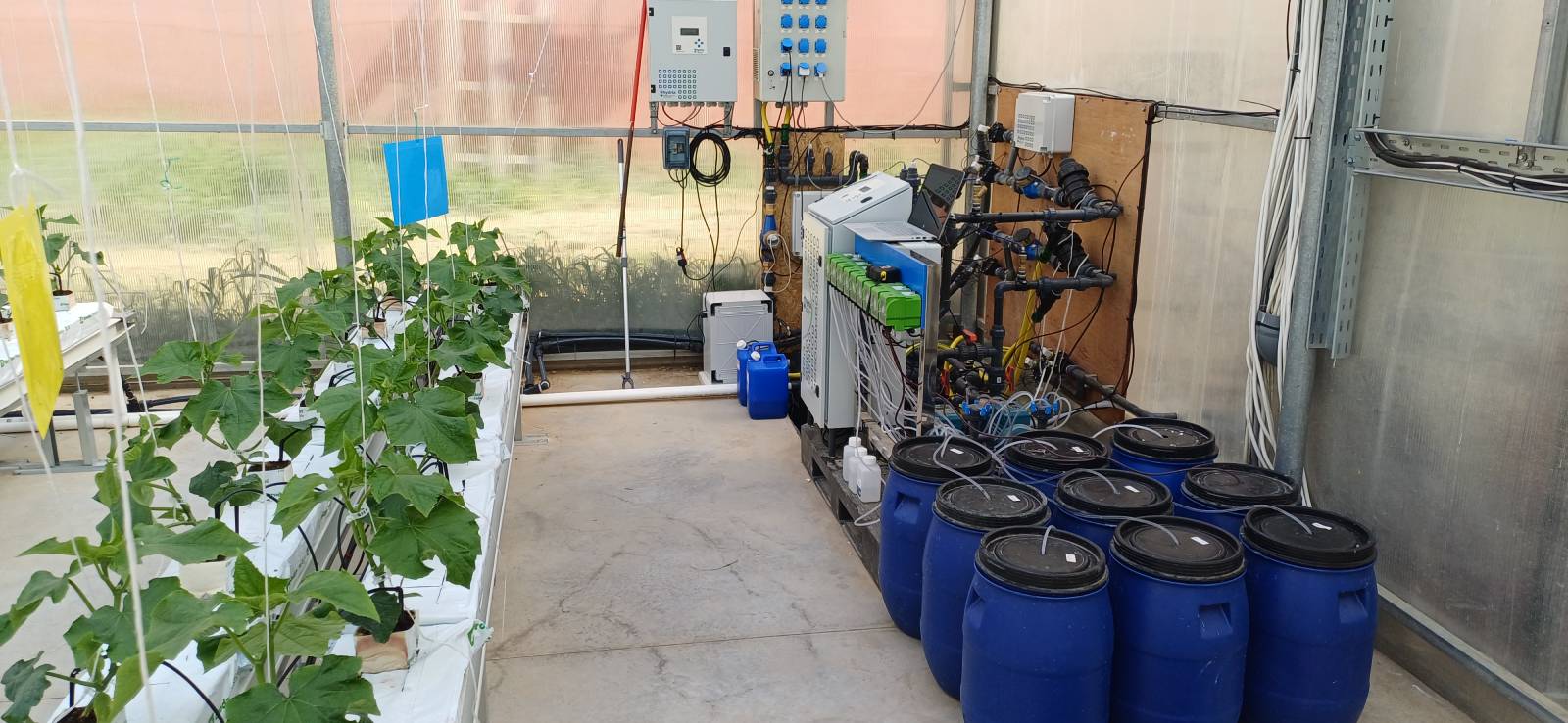 AUA at TALLHEDA Workshop on Digital Transformation in Agriculture-3